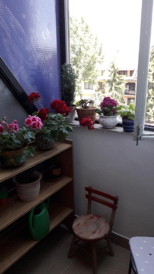 Annika Apartman 埃格尔 外观 照片